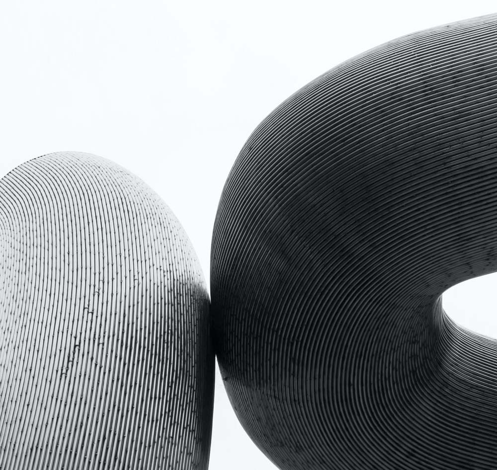 Seguridad profesional